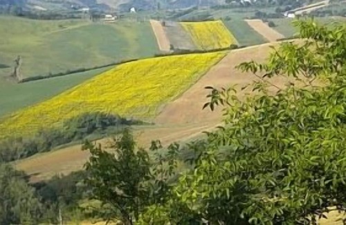Falerone Other | Farmhouse In Falerone Fermo Italy