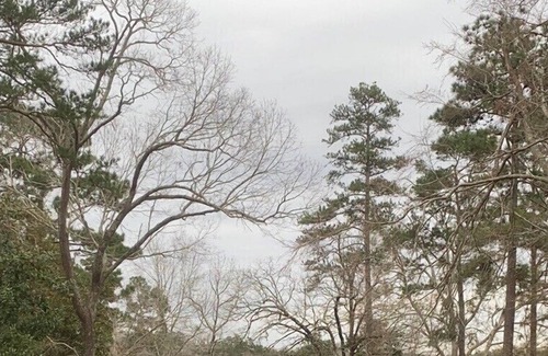 San Augustine Bed & Breakfast | Farmhouse in the Pineywoods - King Bed