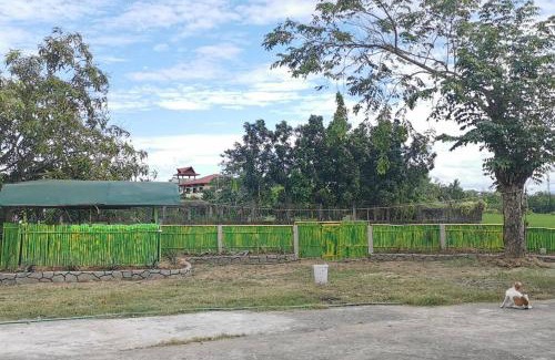 Gapan City Apartment | Farmhouse Perfect for relaxing and grounding