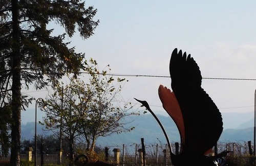 Acqui Terme Other | Farmhouse with apartment "da Sara" in the hills, 3 km in the center of Acqui Terme