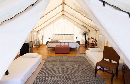 Irene RV Rental | Farmstay & Magical Glamping near Corsicana