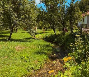 Montenegro House | Farmstead Green Haven