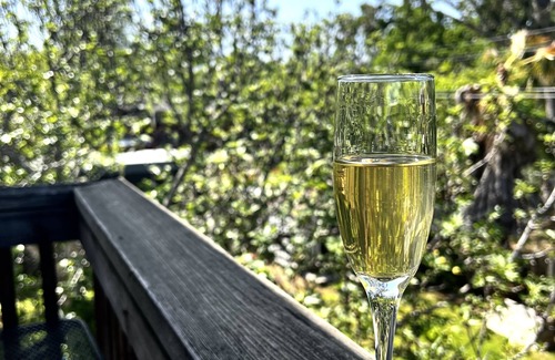 Roseville House | FAST INTERNET - EASY ACCESS - QUITE - 5 MINUETS TO KAISER - REMODELED - NEW BATH