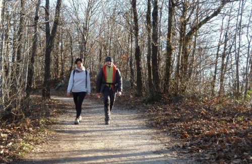 Teolo Bed & Breakfast | Fattoria Busa dell'Oro