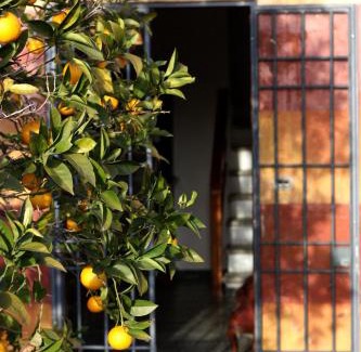 Massarosa House | Fattoria di Camporomano