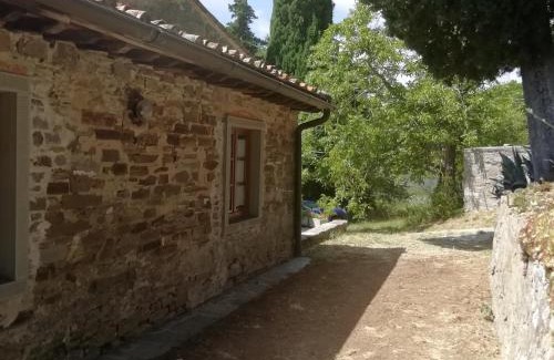 Pontassieve House | Fattoria di Cintoia