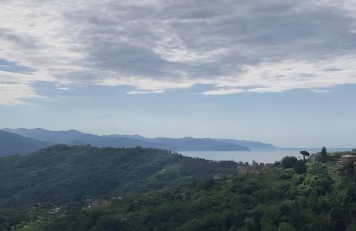 Ruta House | Fattorialmare Rossa