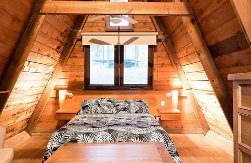Taylor Bay Other | Fawlty Farm in Taylor Bay with 3 FREE experiences
