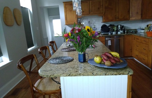 South Baltimore House | Federal Hill - Central, fully renovated townhouse. Close to restaurants and bars