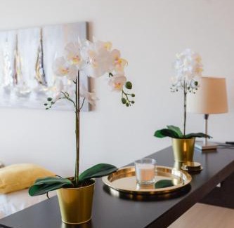 Krumpendorf am Woerther See Apartment | feel good Resort
