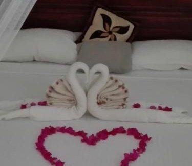 Aturuwella Hotel | Feeld side villa