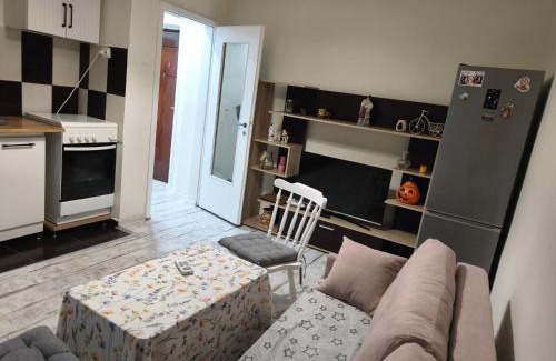 Emanoil Gojdu Apartment | Feels like home