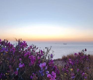 Equihen-Plage House | fenêtre sur mer maison vue mer splendide