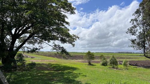 Foxdale House | Feng Shui Sugarcane Cabin