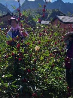 Fuli House | Fengnan Tianzhuang Homestay