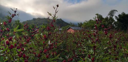 Fuli House | Fengnan Tianzhuang Homestay