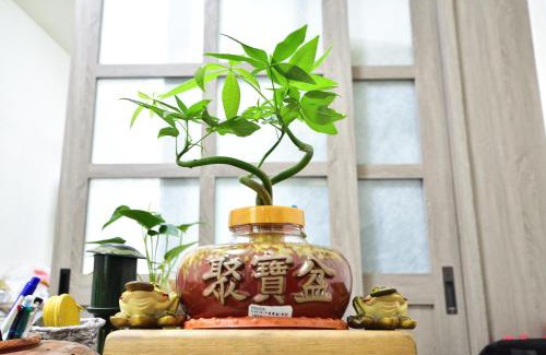 Taitung House | Fengru B&B