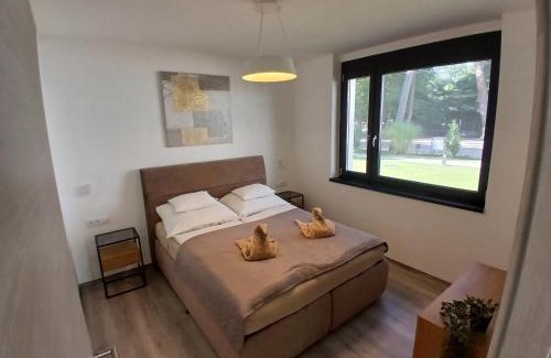 Pusztavacs Apartment | Fenyvesliget Apartmanok III