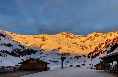 Brienzwiler Apartment | Ferien im Paradies