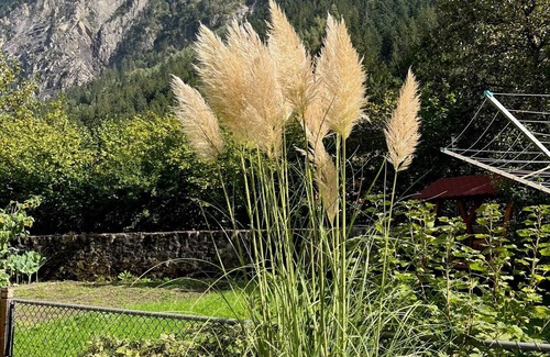 Gurtnellen Apartment | Ferien Nahe Andermatt - Zentralschweiz - Gurtnellen 2.5 Zi. für max 4 Personen