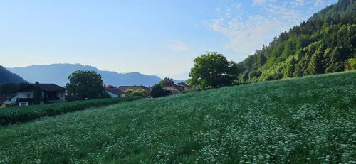 Treffen Apartment | Ferien- und Pferdegut Schloss Treffen