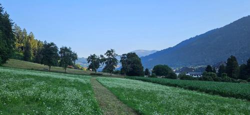 Treffen Apartment | Ferien- und Pferdegut Schloss Treffen