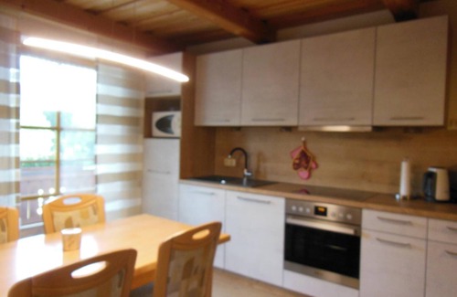 Neureichenau Apartment | Feriendomizil inmitten des Bay. Waldes mit 2 Schlafzimmern und Balkon