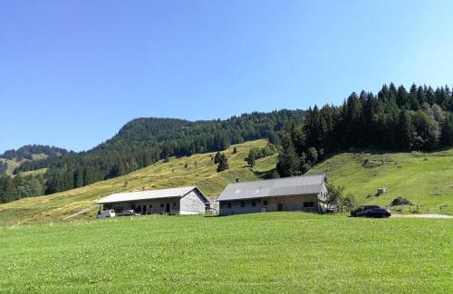 Hittisau Apartment | Ferienhütte Kälberweide
