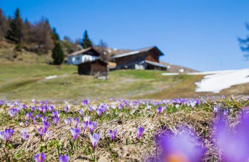 San Leonardo in Passiria House | Ferienhaus/Chalet in der Blaiche