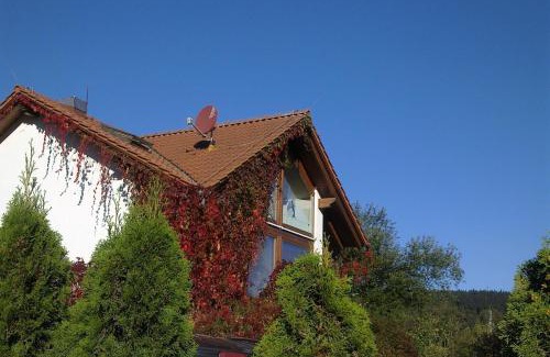 Giessubel Apartment | Ferienhaus am Löffelberghüttchen