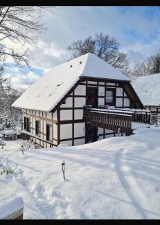 Feriendorf Frankenau Apartment | Ferienhaus am Wald