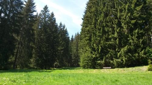 Grossbreitenbach House | Ferienhaus Bad Hundertpfund Typ A