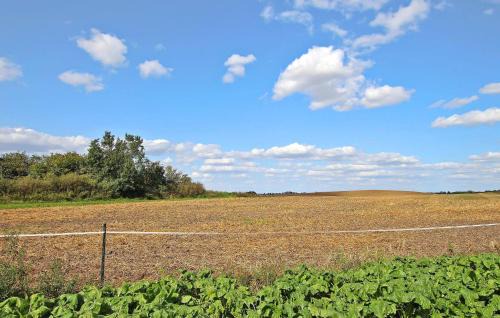 Blankensee House | Ferienhaus Hoffelde