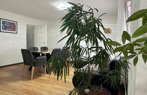 Nidderau Apartment | Ferienhaus in einem Wohngebiet bei Frankfurt