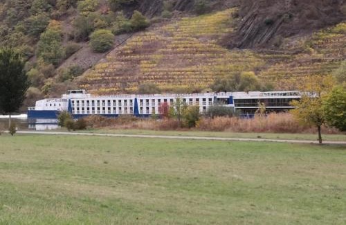 Koblenz Apartment | Ferienhaus MaLeFi 2 am Gülser Moselbogen