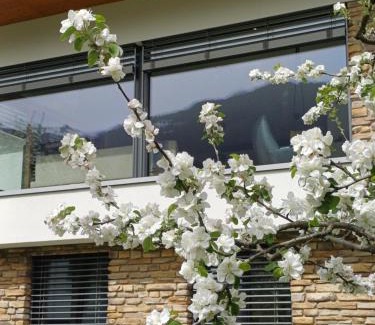 Vandans Apartment | Ferienhaus Raich
