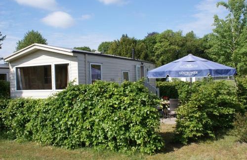 Eggesin House | Ferienhaus Schwan