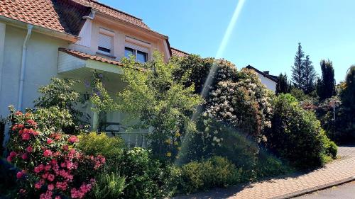 Eichenzell House | Ferienhaus "Villa am Eck"