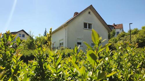 Eichenzell House | Ferienhaus "Villa am Eck"