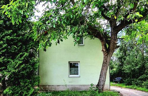 Zittau Apartment | Ferienhaus Zittau - Oberlausitz