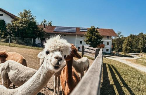 Amerang Apartment | Ferienhof Petermühle Urlaub mit Alpakas
