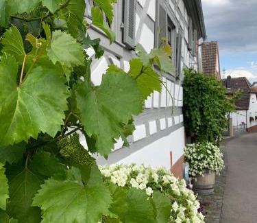 Gleiszellen-Gleishorbach Apartment | Ferienwohnung Sambachhaus