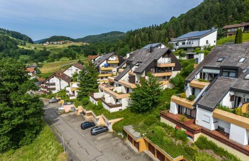 Schoenau im Schwarzwald Apartment | Ferienwohnung Schönblick