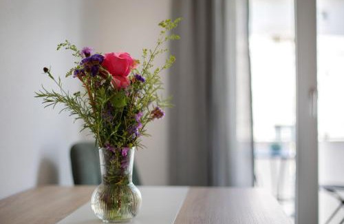 Unterwiehre-Nord Apartment | Ferienwohnung Münster, sehr zentral