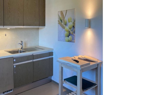 Gmund am Tegernsee Apartment | Ferienwohnung Hornsteiner