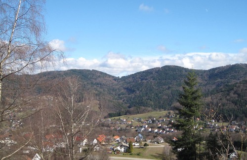 Neusatzeck Apartment | Ferienwohnung, 41qm, 1 Schlafzimmer, max. 3 Personen