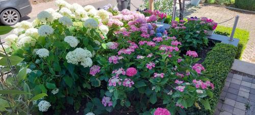 Merzig Bed & Breakfast | Ferienwohnung Aloysia am Saarlandradweg