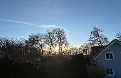 Purgen Apartment | Ferienwohnung Alpenblick