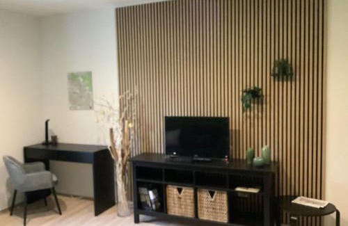 Dolzschen Apartment | Ferienwohnung am Bienertpark