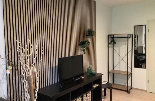 Dolzschen Apartment | Ferienwohnung am Bienertpark